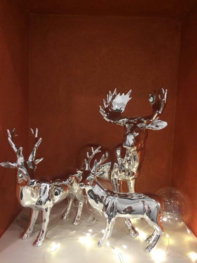 Bed & Breakfast Via Roma 25 Arezzo
